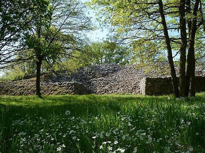 Le Camp de Bierre