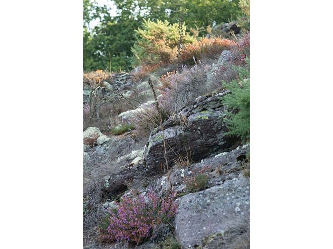 La Roche d'Oëtre - St Philbert sur Orne