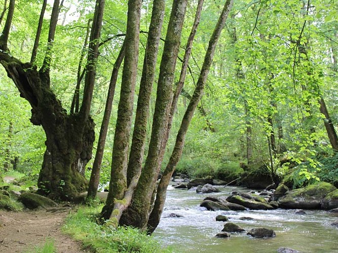 Gorges de la Rouvre - St Philbert sur Orne