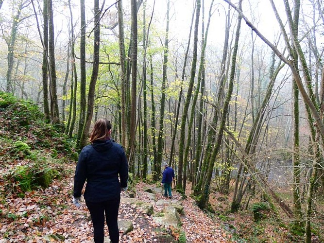 Gorges de la Rouvre - St Philbert sur Orne