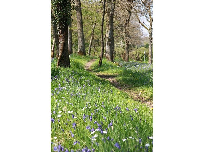 Le Vaudobin et les gorges du Meillon