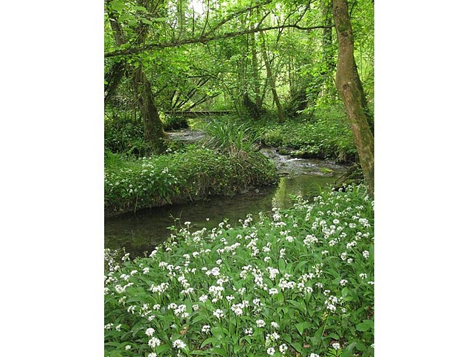 Le Vaudobin et les gorges du Meillon