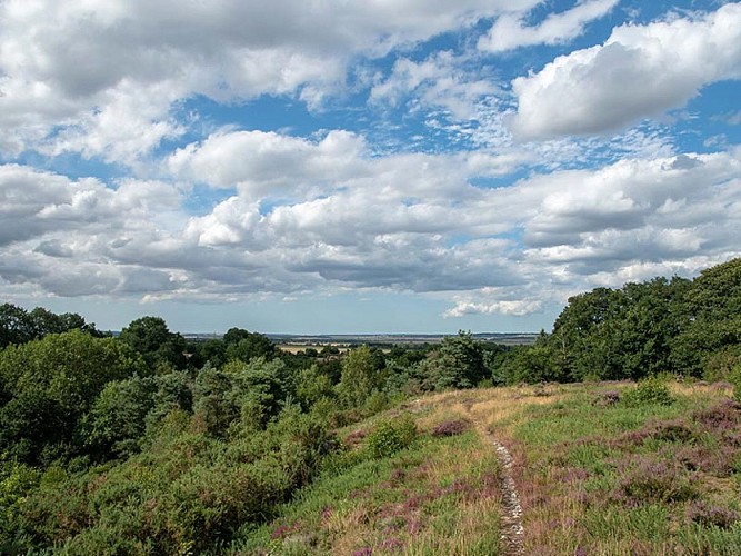 Le Vaudobin et les gorges du Meillon