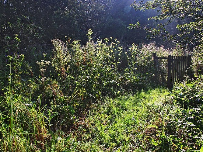 Les prairies de Campigny