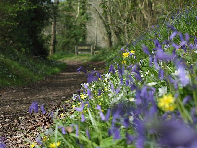 Les Méandres de l'Orne