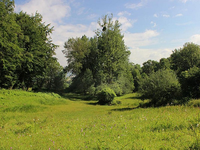 Le site de Sainte-Eugénie