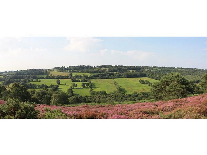 Les Landes du Tertre Bizet