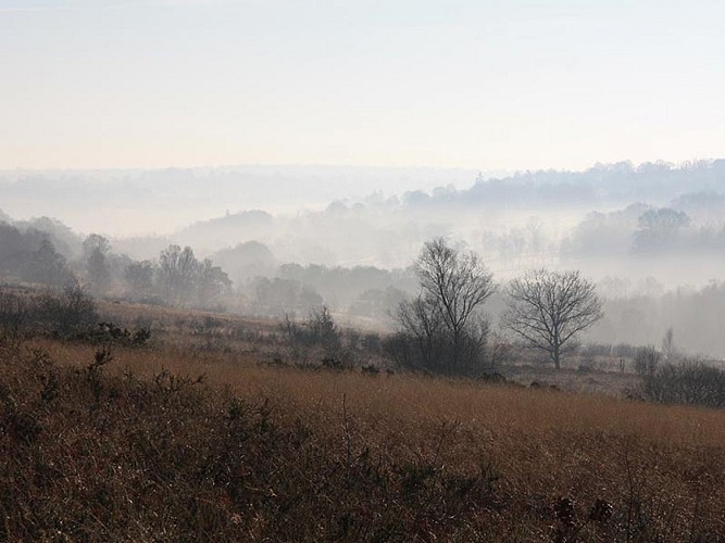 Les Landes du Tertre Bizet et de la Tablère