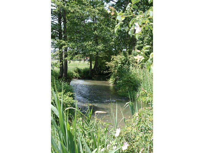 Vallée de l'Orne et Marais de Grogny