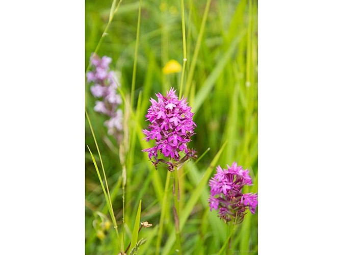 Les Coteaux Historiques