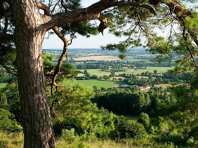 Les Coteaux Historiques