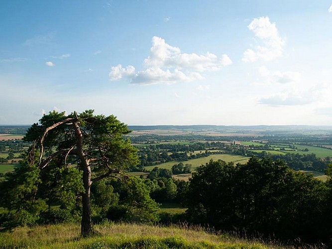 Les coteaux historiques de la bataille de Normandie