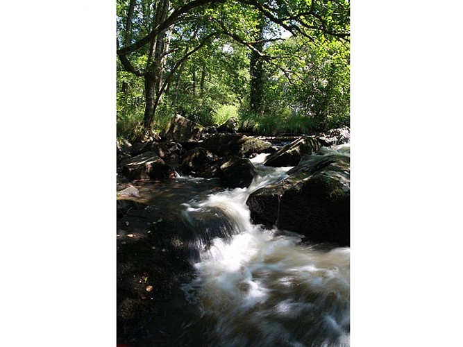 Fosse-Arthour-cph-cd61-3