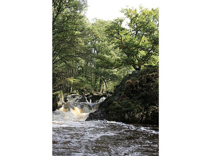 Fosse-Arthour-cph-cd61-4