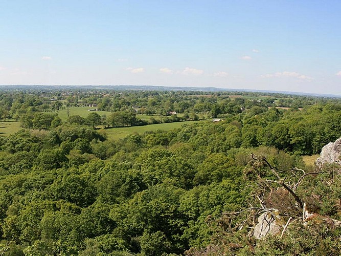 Fosse-Arthour-cph-cd61-6