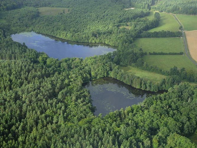 Réserve naturelle régionale de Bresolettes