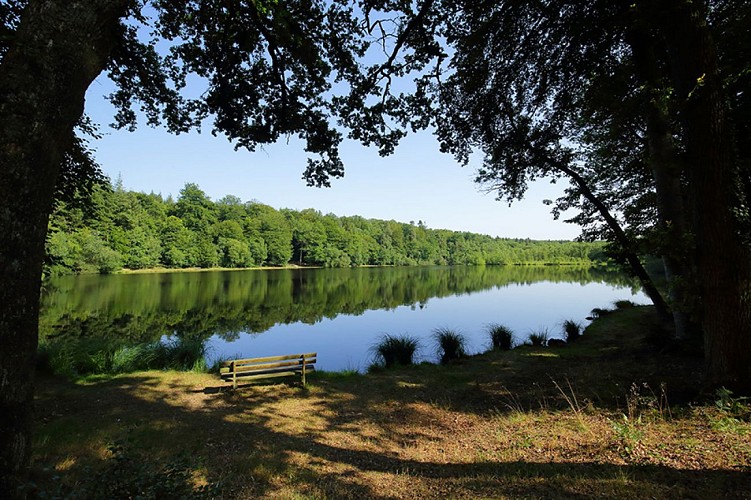 L'Etang de Lande-Forêt