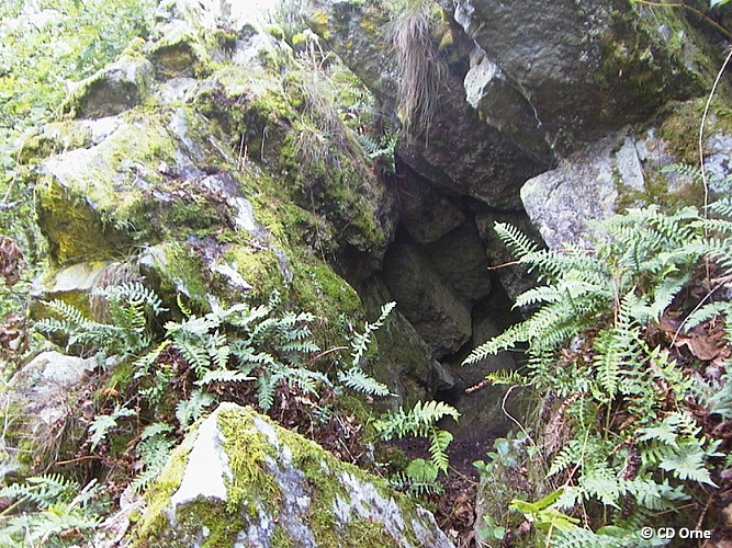 Le Vaudobin et les gorges du Meillon - Point 5 Secrets de roche