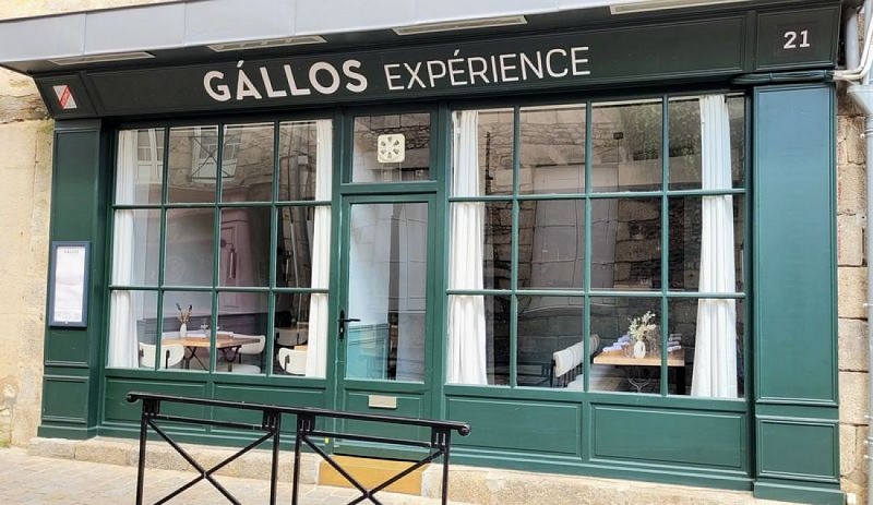 GÁLLOS Expérience