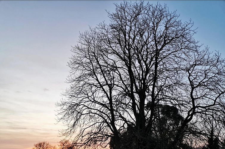 Chambres d'hôtes le Prieuré des Anges