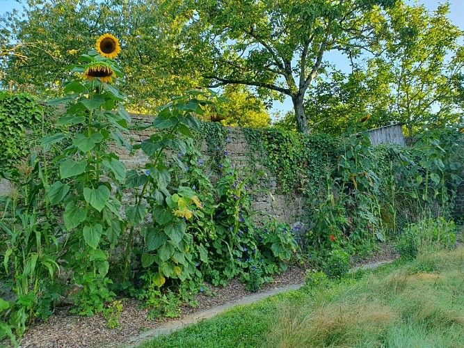 CHAMBRES D’HÔTES LA BELLE AVETTE