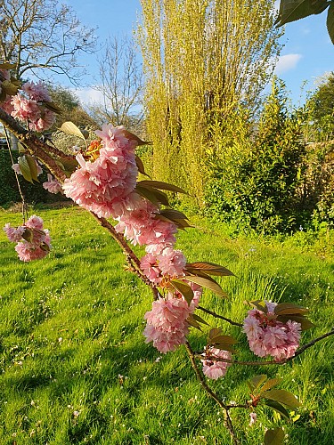 CHAMBRES D’HÔTES LA BELLE AVETTE
