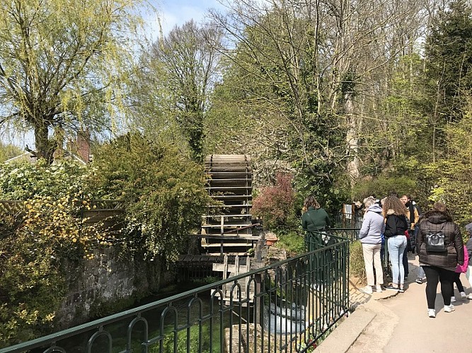 PCU-veules-les-roses-visite-commentee-ccca-2020-2