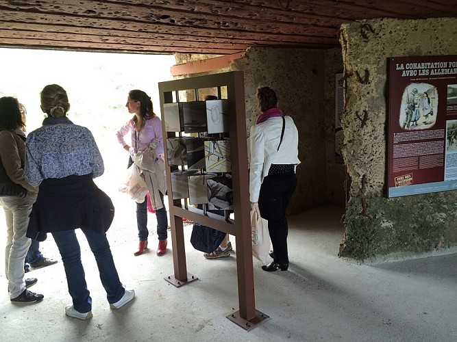 PCU-paluel-memoire-albatre-ccca-2020--2-