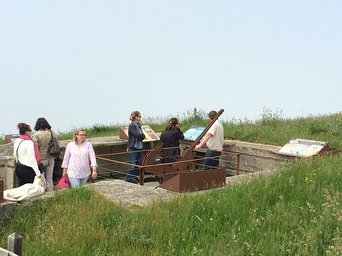 PCU-paluel-memoire-albatre-ccca-2020--1-