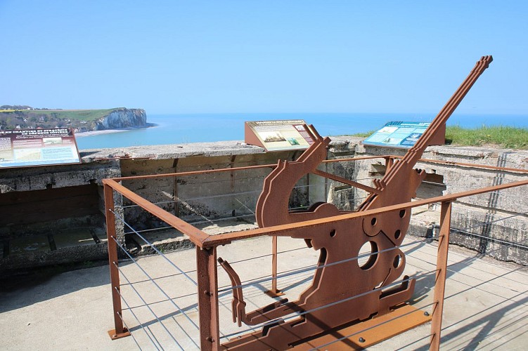 PCU-paluel-memoire-albatre-ccca-2020