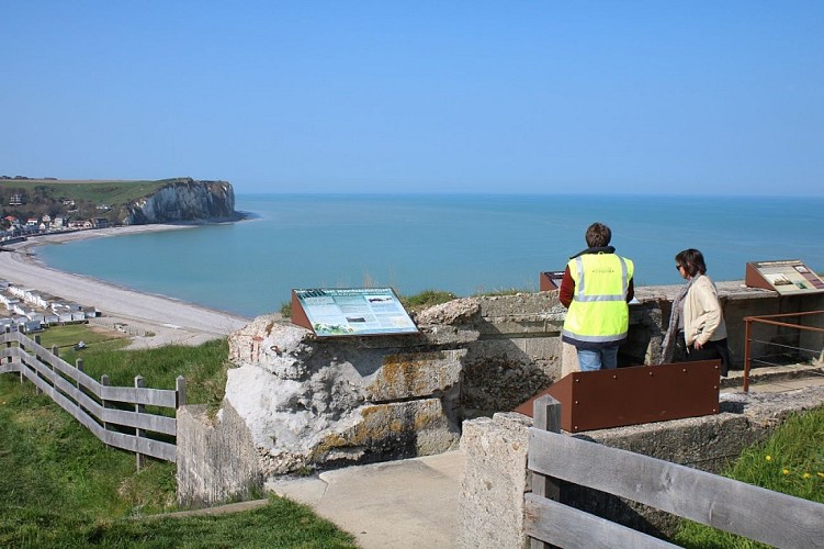 PCU-paluel-memoire-albatre-ccca-2020--4-