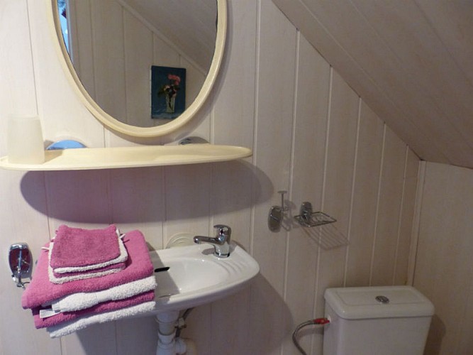 -chambre orchidée (5)