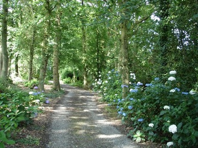 DIEPPE-VARENGEVILLE-GOUBET-CHargentine-068