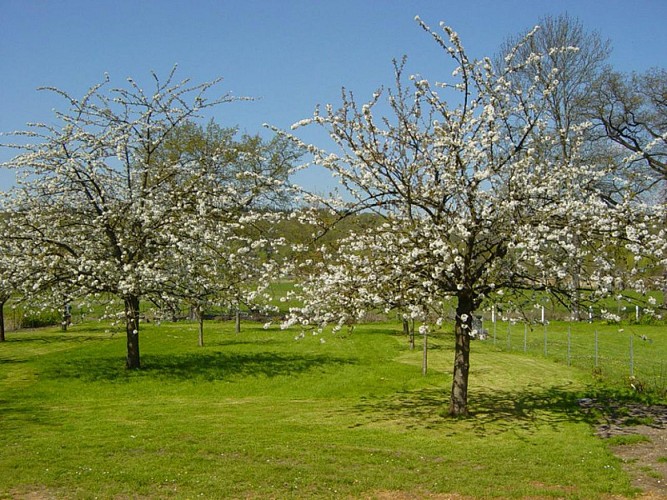 Gîtes de France® - Au Pas de L'ours