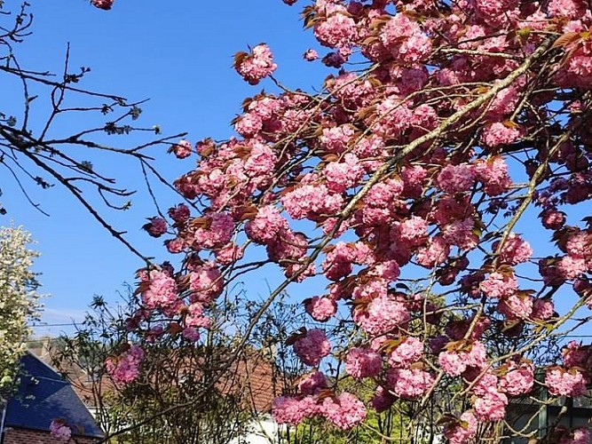 Gîtes de France® - La Rive