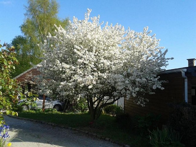 Gîtes de France® - La Rive