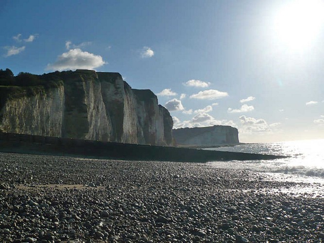 Gîtes de France® - Cottage du Parc