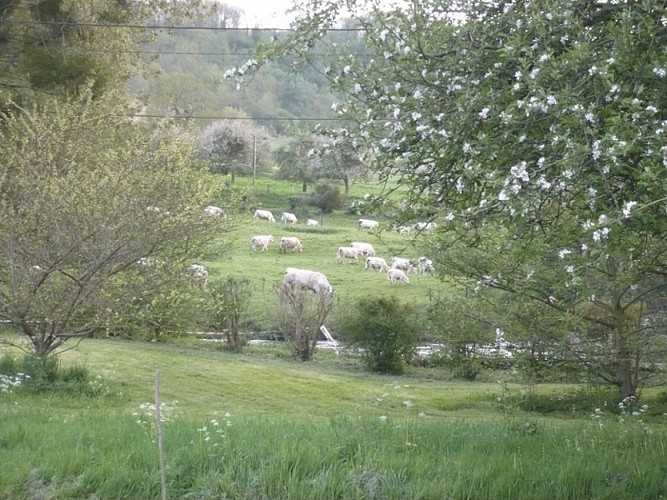 Gîtes de France® - Les 3 Noyers