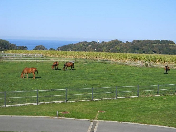 Gîtes de France® - Les 3 Mathildes