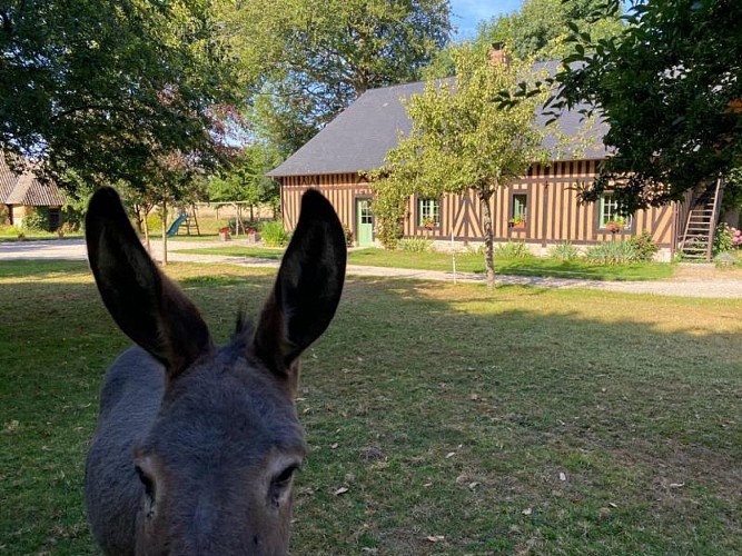 Gîtes de France® - Le Saint Hilaire