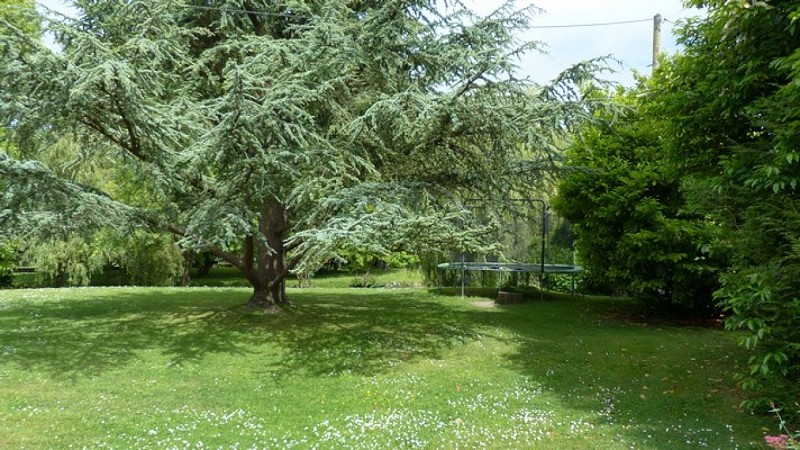 LE TREPORT INCHEVILLE TRABUCCO LOC Chalet du Pêcheur V1 psv (3)