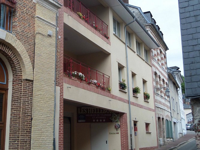 Les-Hellebores-exterieur-M bis