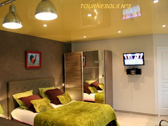 Les-Hellebores-Les-Tournesols-Caudebec-en-Caux-piece-principale-M bis