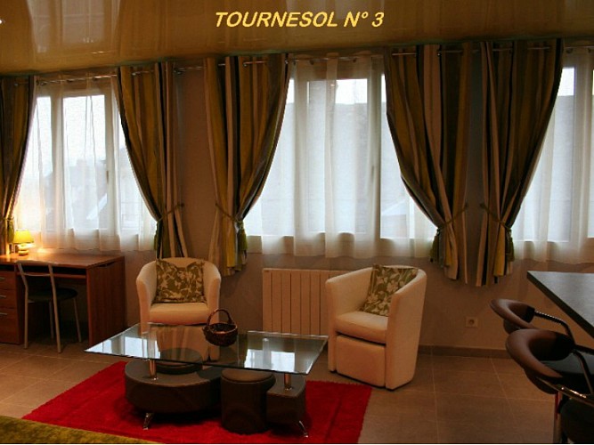 Les-Hellebores-Les-Tournesols-Caudebec-en-Caux-salon-M bis