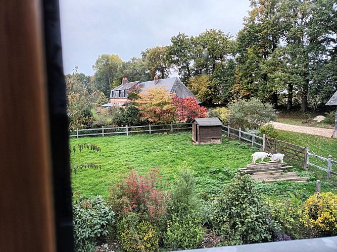 gite-la-maisonnette-meuble-auberville-lacampagne-pj2s-2