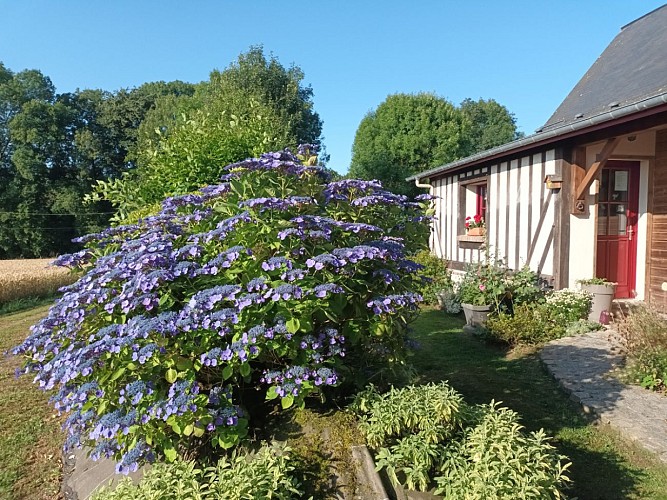 gite-la-maisonnette-meuble-auberville-lacampagne-pj2s-4