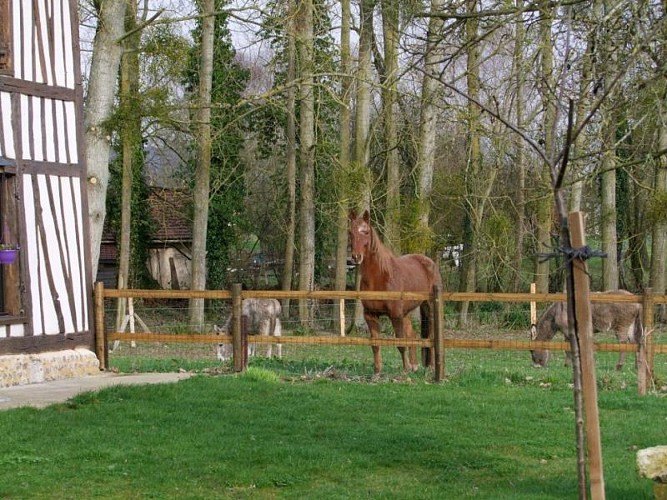 Gîtes de France® - Le Trèfle à Quatre Feuilles