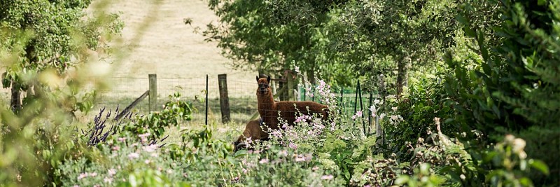 la-suite-de-letoile-jardin-1500x500