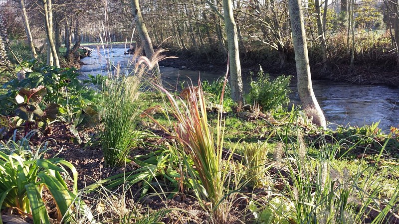 La Riv'Yères - CRIEL - Jardin - 2019