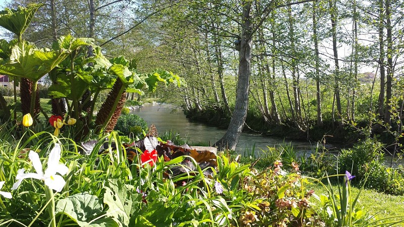 La Riv'Yères - CRIEL - Vue - 2020